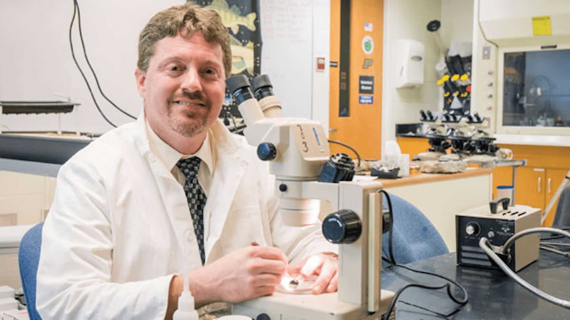Dr. Swinehart