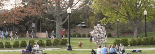 Students on the quad