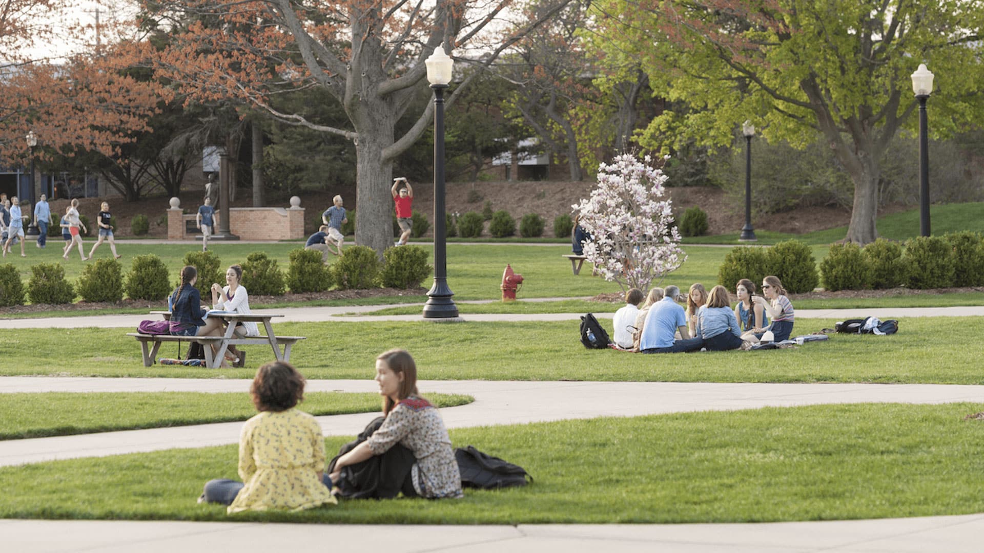 Students on the quad