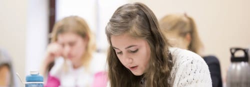 Students in class