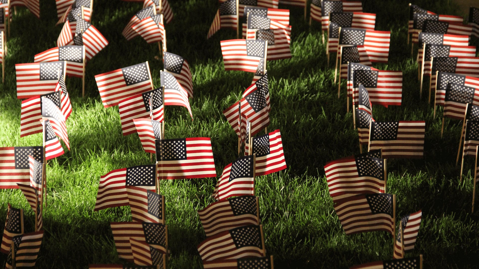 Memorial flags on campus