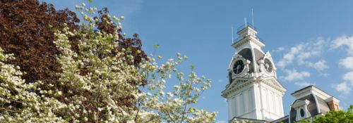 View of Central Hall through some blooming trees.