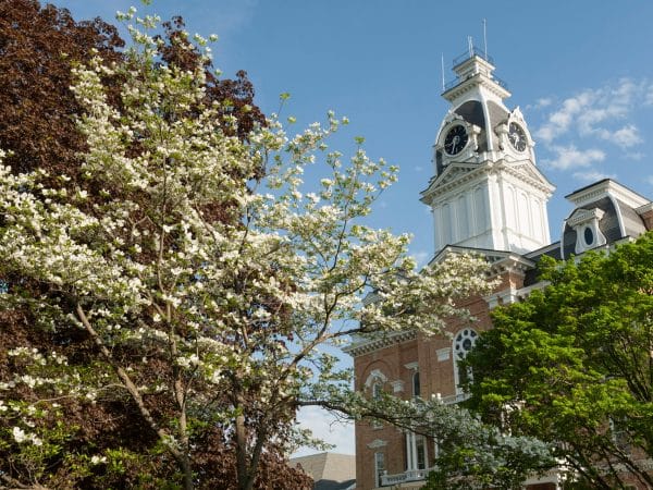 View of Central Hall through some blooming trees.