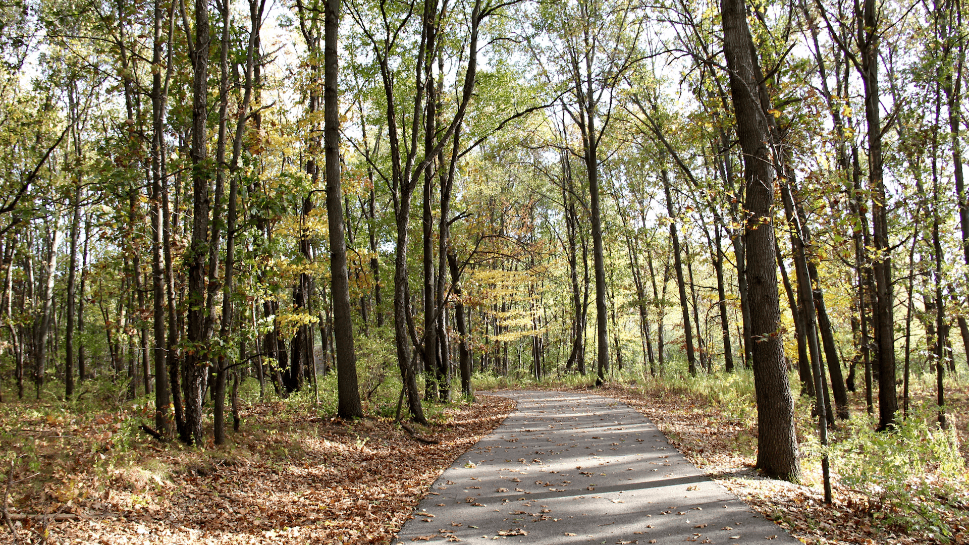 Baw Beese Trail
