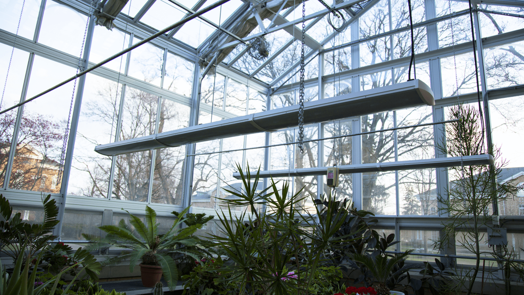 Greenhouse