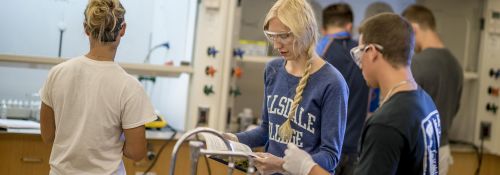 Students working in lab