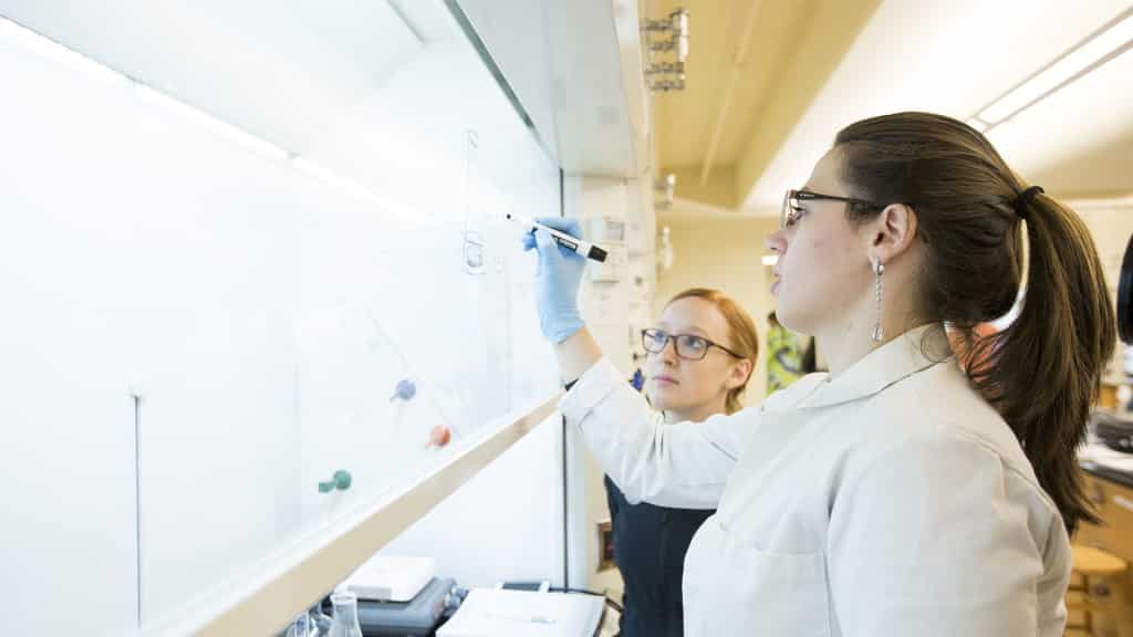 Pre-med student writing on a whiteboard.