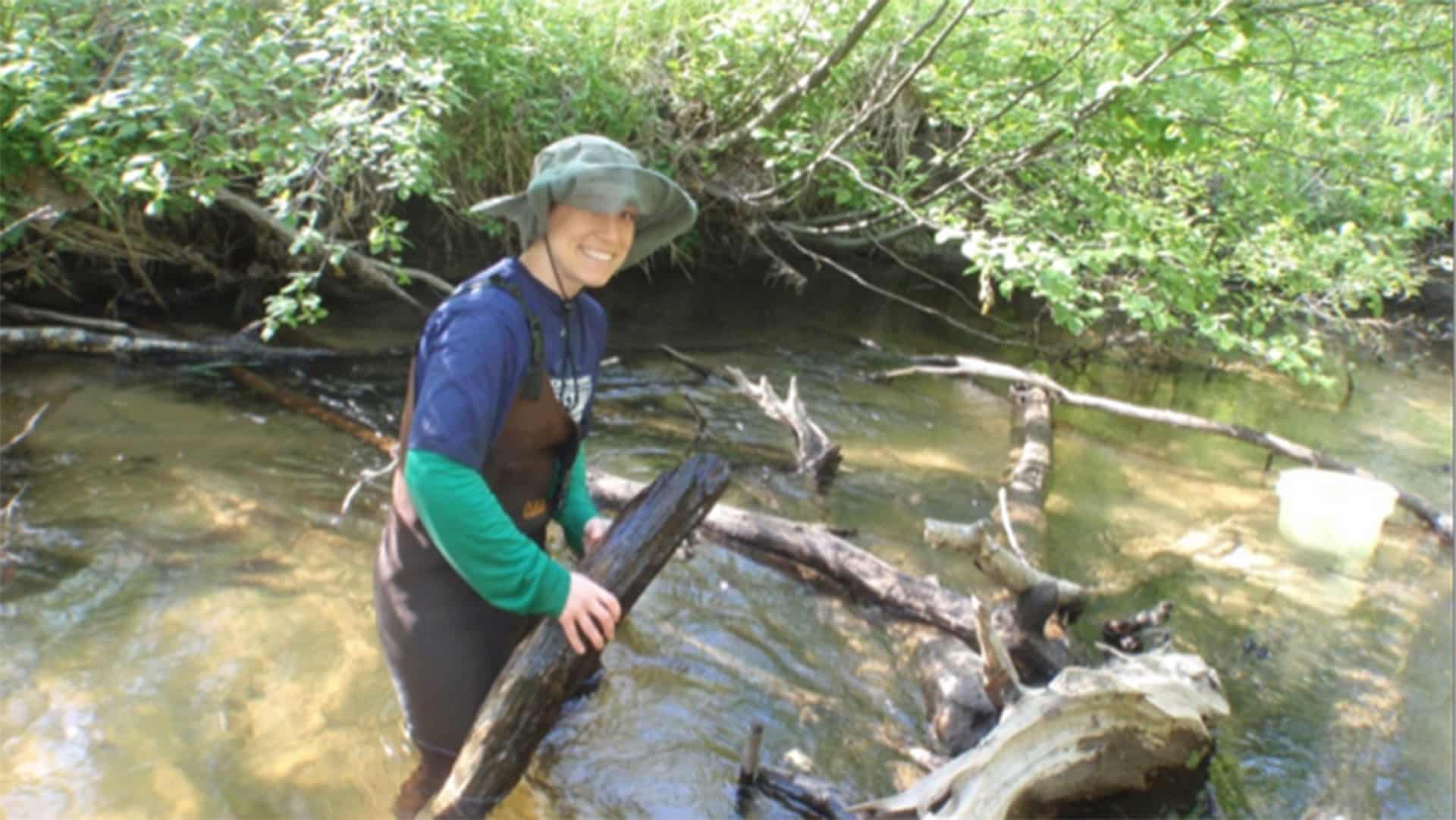 Pytel Caddis Fly Research