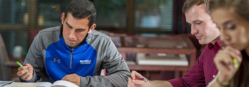 Students studying in the library