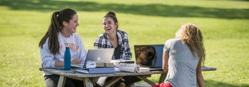 Studying on the Quad