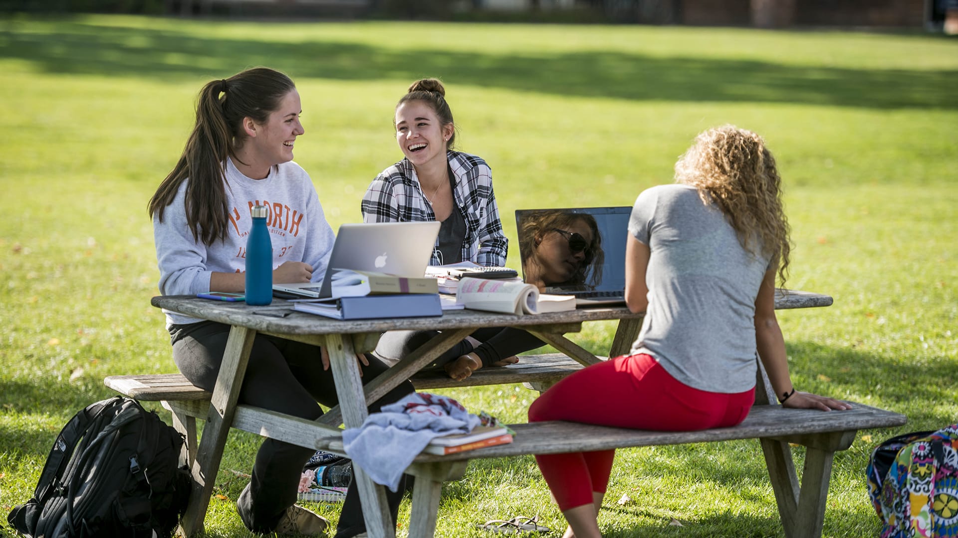 Studying on the Quad