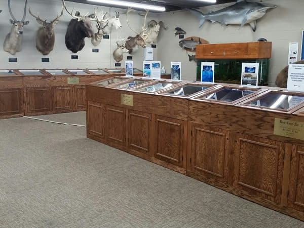 Fisk Museum exhibits.