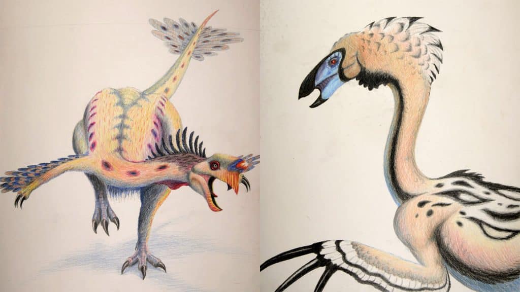 Dinosaur Paintings