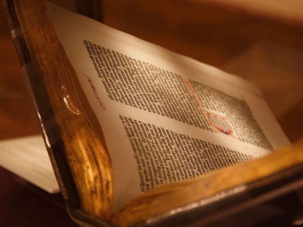 Bible Theology 101 Online Course
