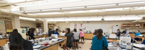 summer science camp