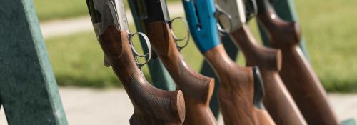 Several rifles on a rifle rack.