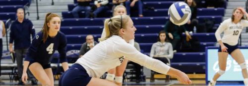 Hillsdale Women's Volleyball