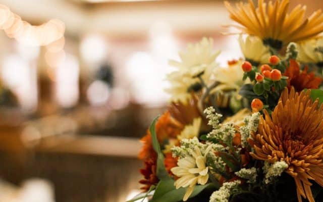Closeup of orange and white flowers.