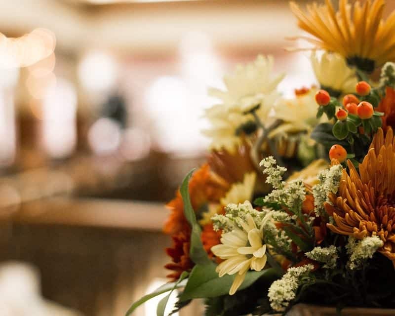 Closeup of orange and white flowers.