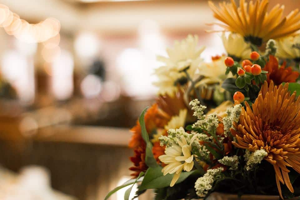 Closeup of orange and white flowers.