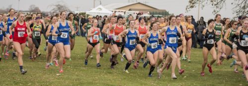 Women Cross Country Team