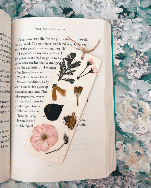 Bookmark