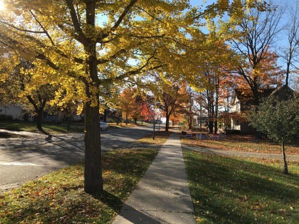 golden fall leaves over a sidewalk