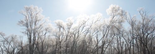 sunshine and snow