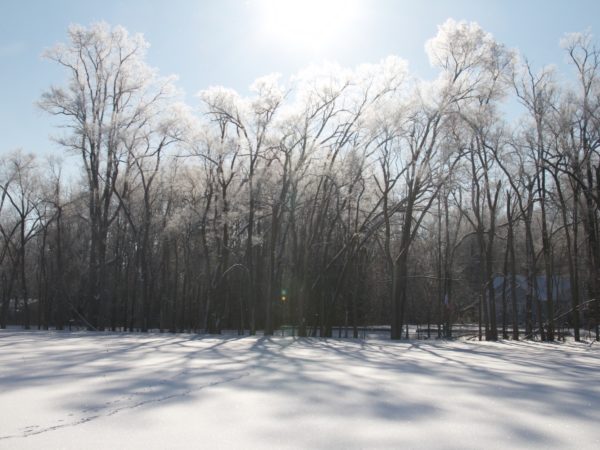 sunshine and snow