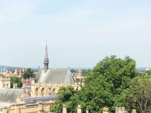 Man looking out on city with trees and buildings