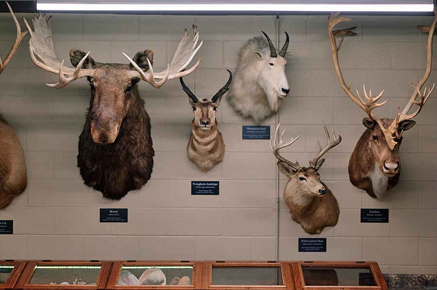 Strosacker Science Center and Joseph H. Moss Family Laboratory Wing interior