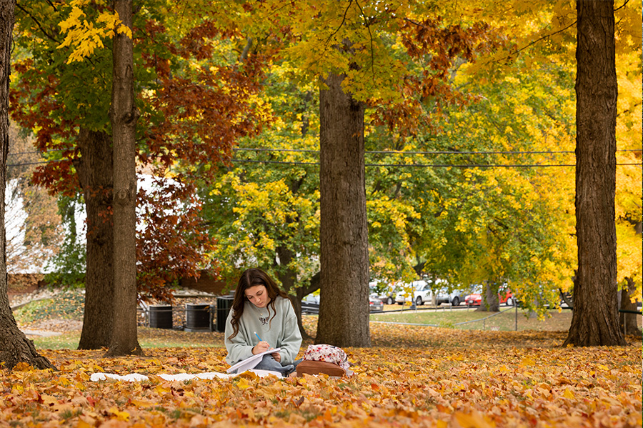 The north quad—the green, grassy area to the north of Central Hall