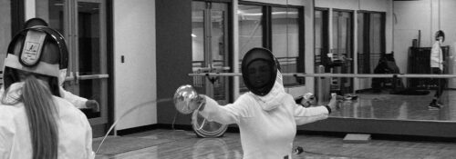 Fencing