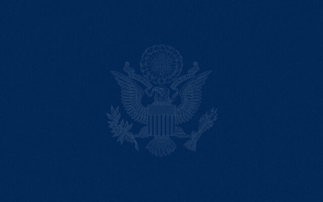 National Security Strategy (NSS) Logo