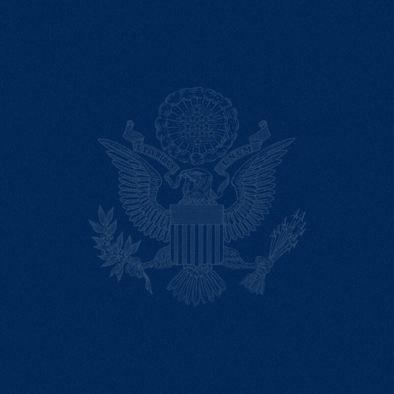 National Security Strategy (NSS) Logo