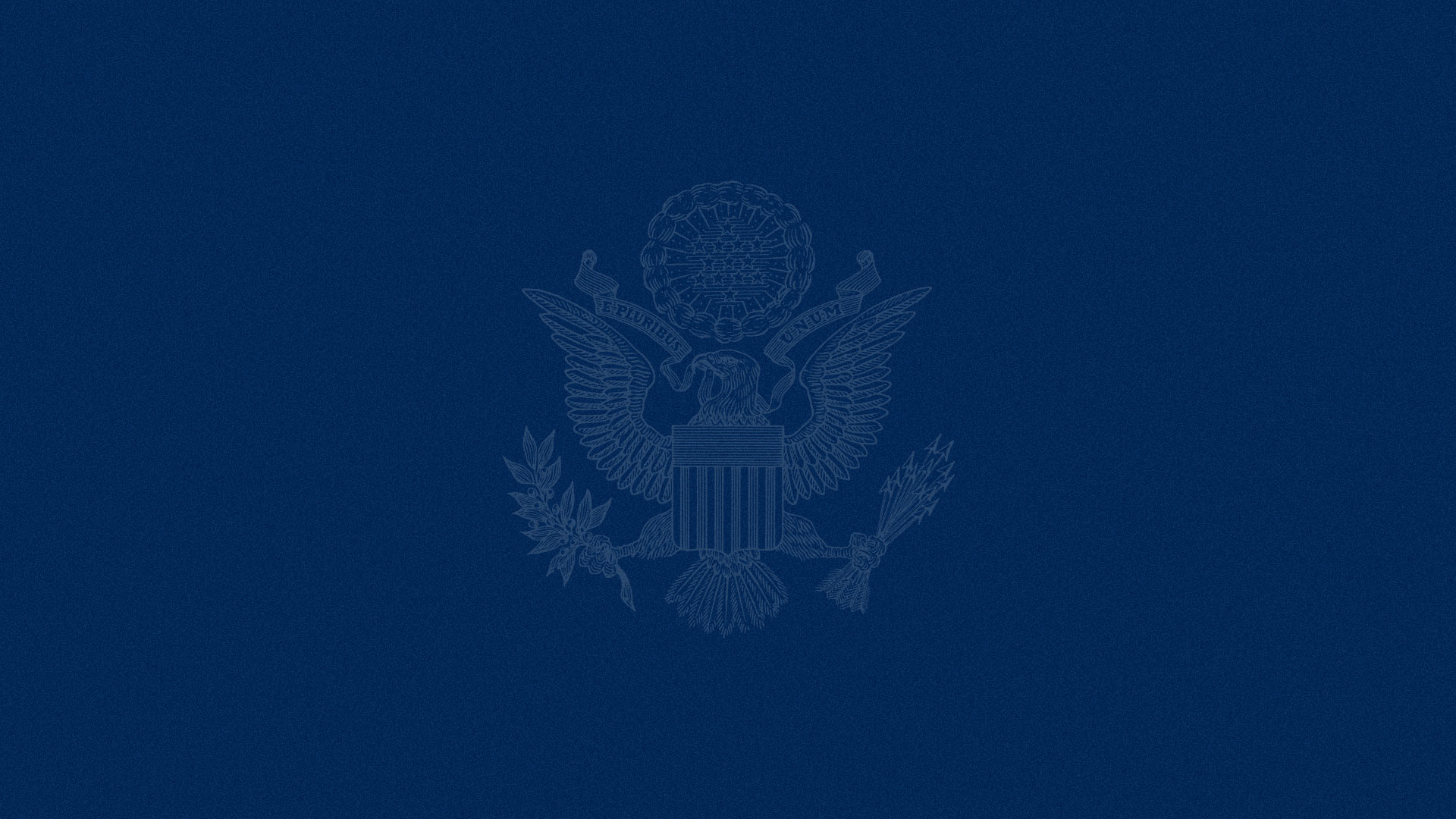 National Security Strategy (NSS) Logo